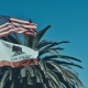 Photo of California and US flags in front of the top of a palm tree