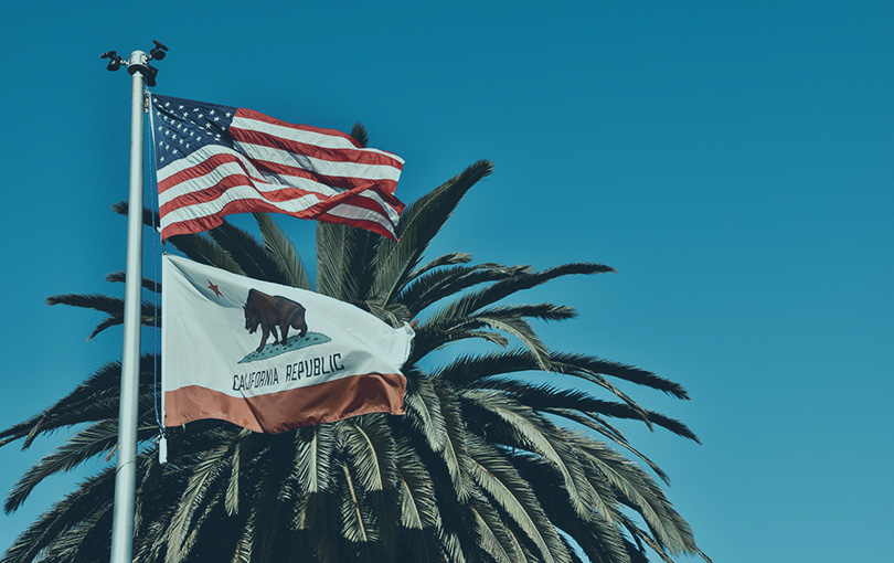 Photo of California and US flags in front of the top of a palm tree