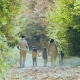 family of five walking hand in hand along a wooded trail on a sunny day
