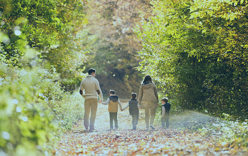 family of five walking hand in hand along a wooded trail on a sunny day
