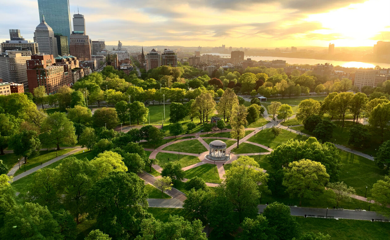 City Park Landscape