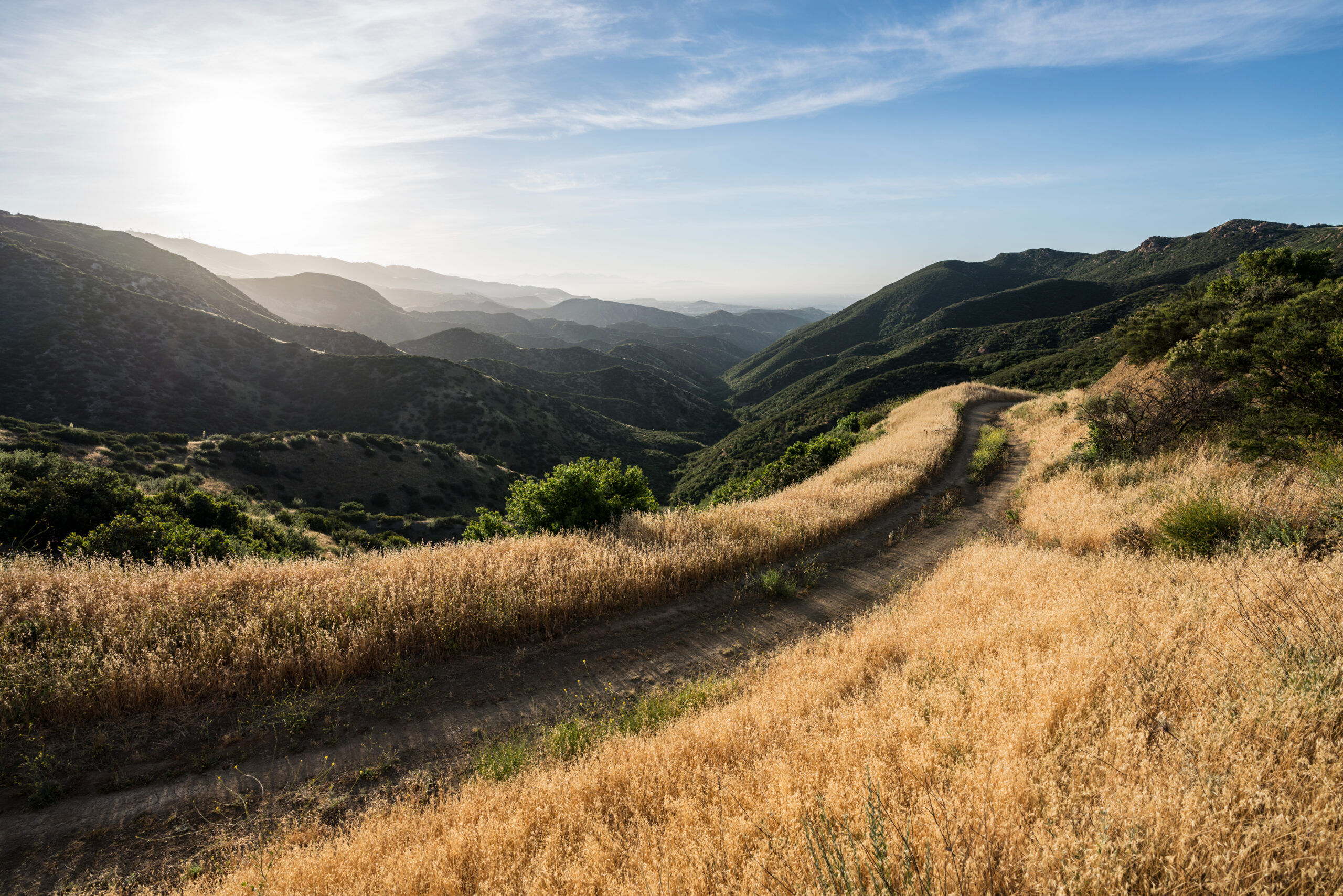 Walking Path on a Hillside