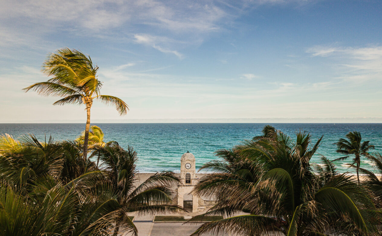 Landscape View of Palm Trees and the Ocean
