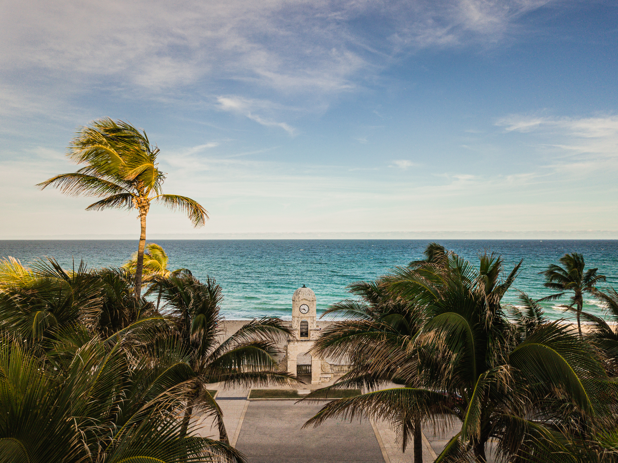 Landscape View of Palm Trees and the Ocean