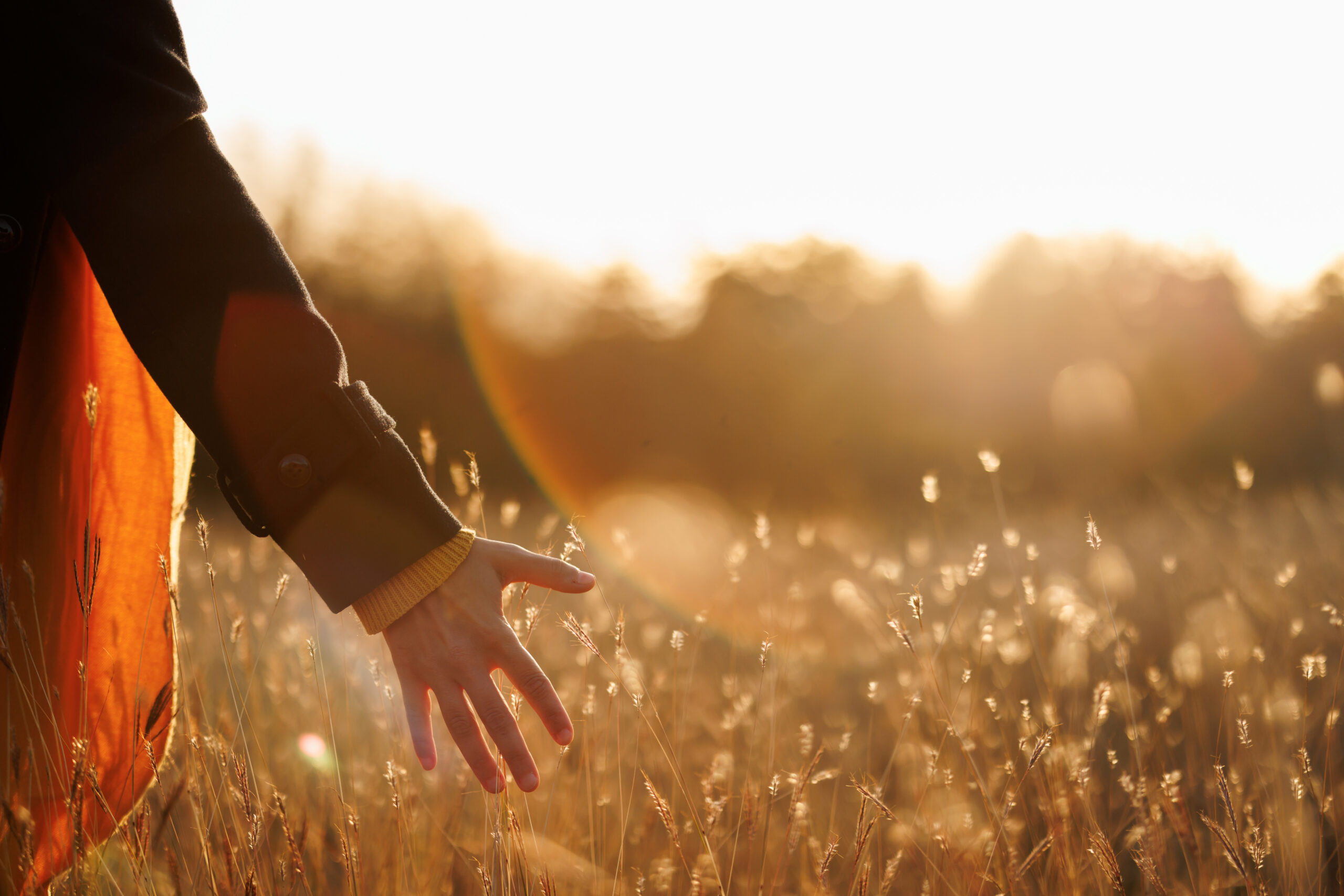 Hand Held Out in the Middle of a Meadow and Dusk