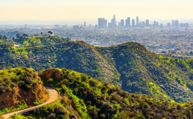 Daylight Hillside Landscape In Front of a City