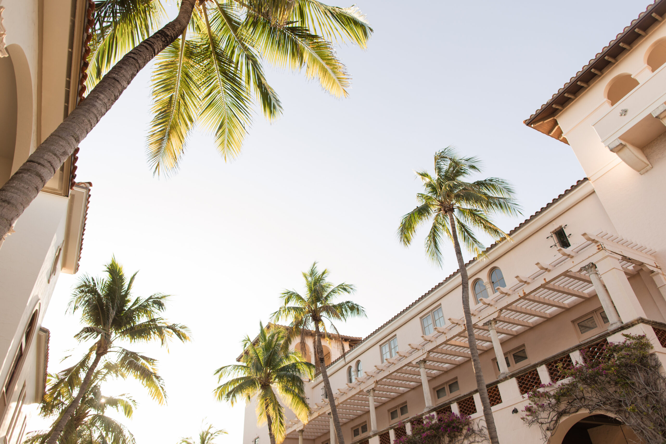 Exterior of Building Surrounded by Palm Trees