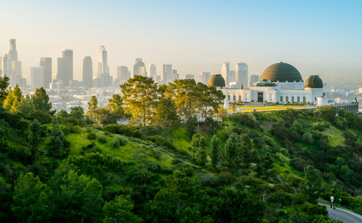 Landscape View of a City