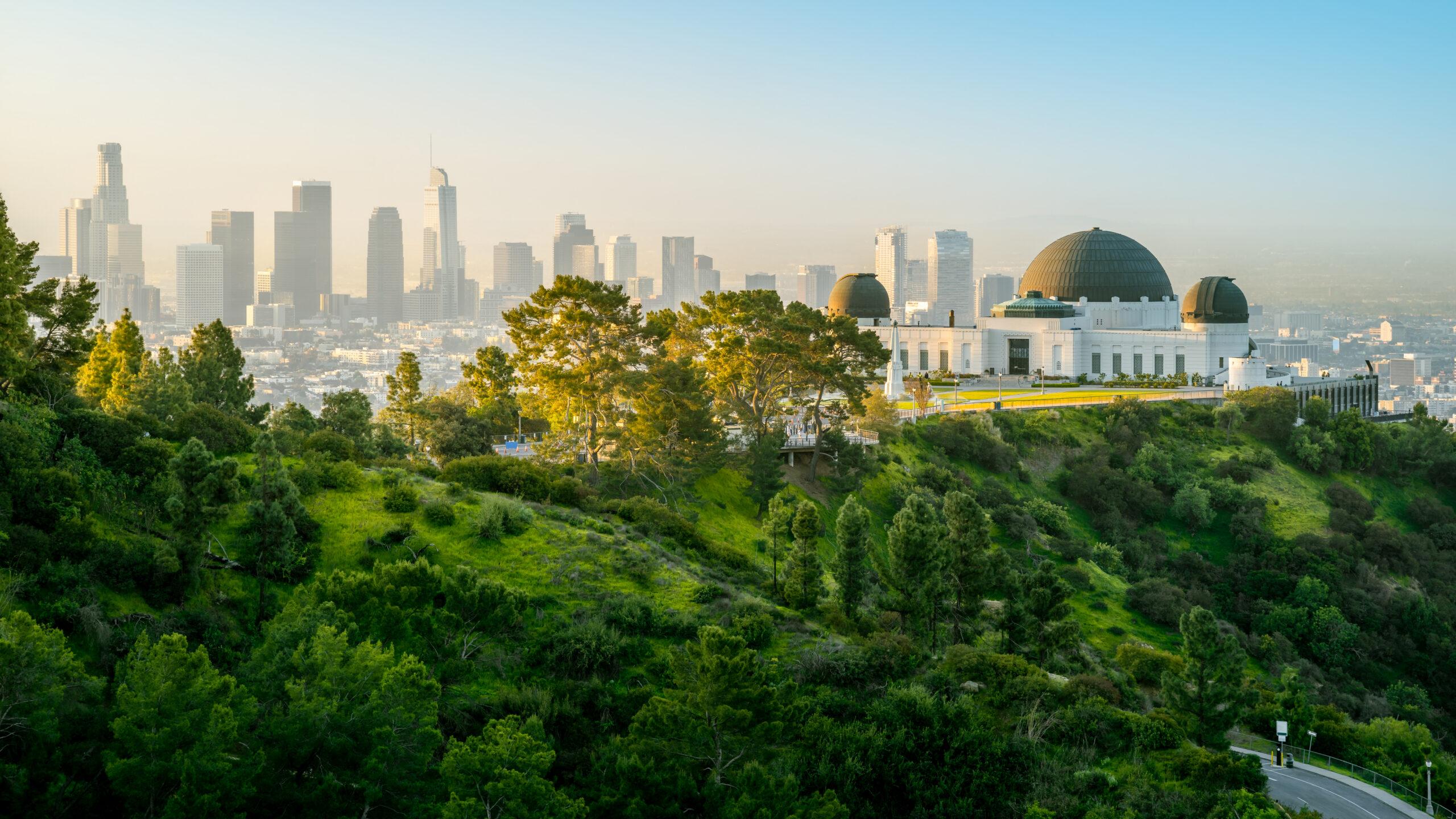 Landscape View of a City