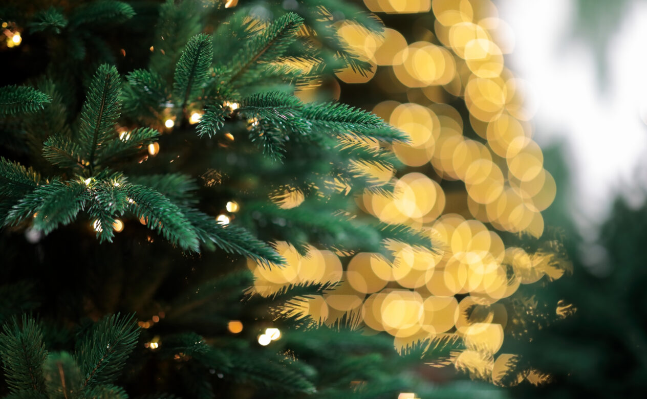 Christmas Lights on a Tree