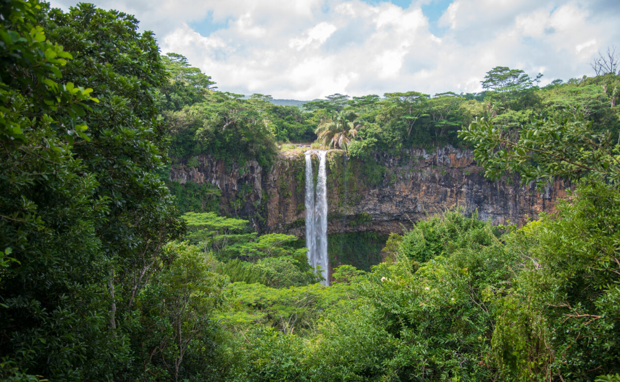 Waterfall in the Jungle
