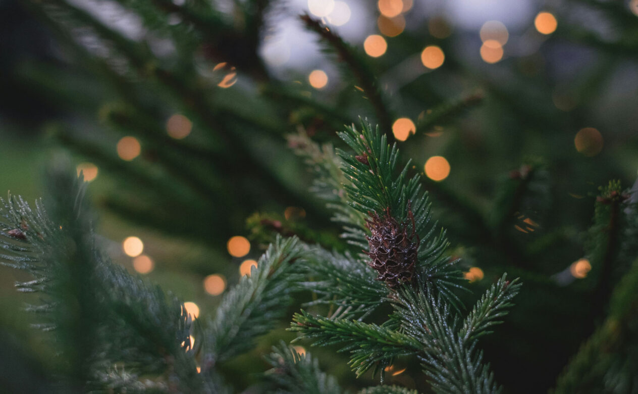 holiday greenery with small lights as decorations